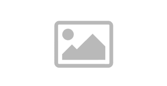 Comment author